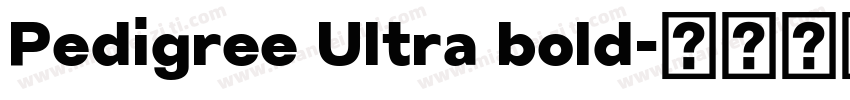 Pedigree Ultra bold字体转换